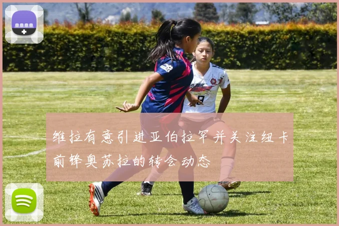 维拉有意引进亚伯拉罕并关注纽卡前锋奥苏拉的转会动态
