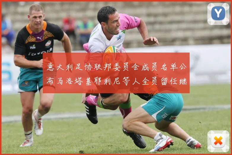 意大利足协联邦委员会成员名单公布马洛塔基耶利尼等人全员留任继续服务